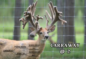 Florida deer breeders