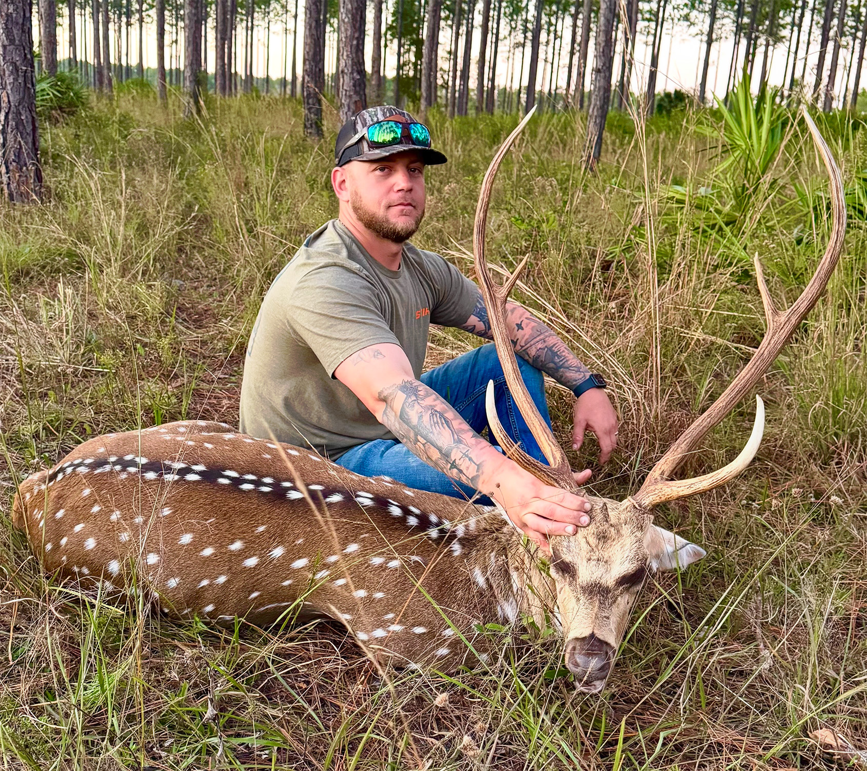 axis buck