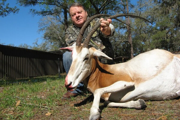 RR Oryx 2