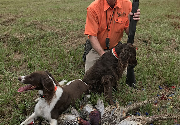 RR Pheasant Irv Gunter