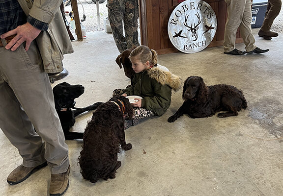 RR Pheasant Presley Dogs