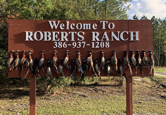 RR Pheasant Sign 5